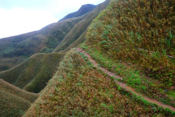 礁溪聖母登山步道...160111