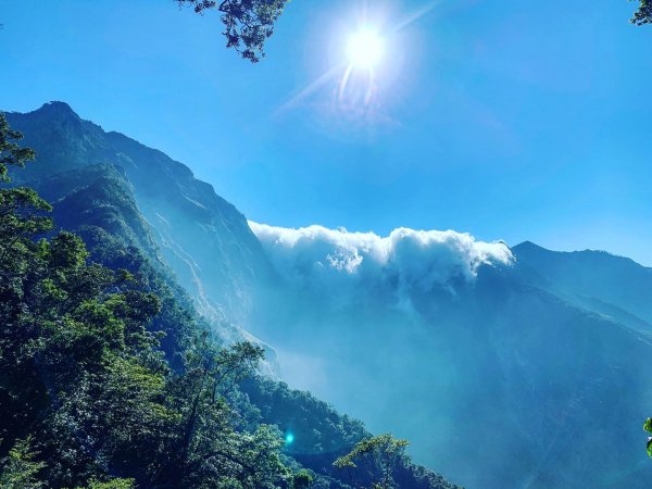 ［北大武］雲海與鐵杉壯麗之美823294