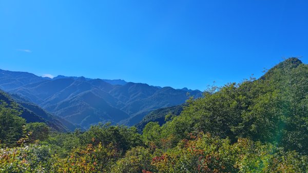 榛山景觀平台2918090