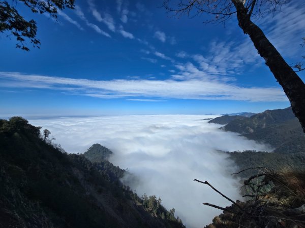 鳶嘴稍來山之楓紅／雲海2974042