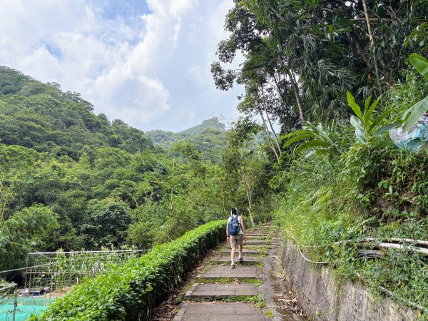 五分山系-菁桐煤礦段2874689