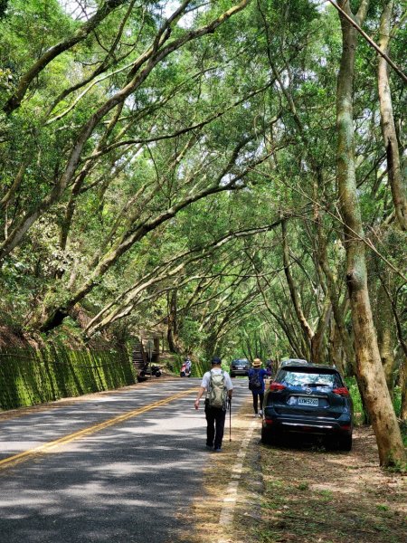 【彰化 | 橫山】975463