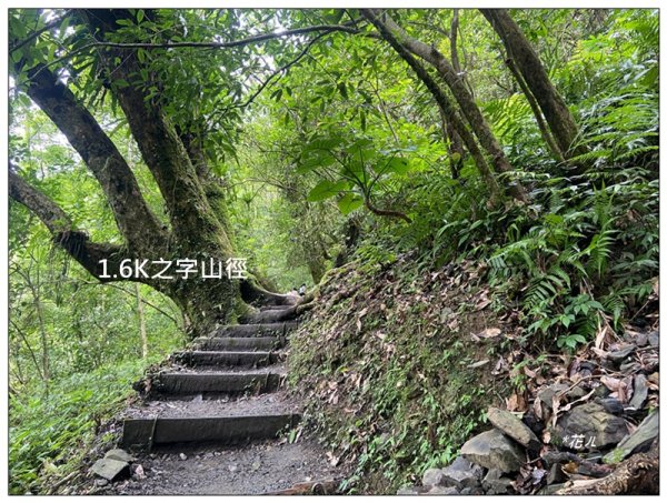 聖母峰、三角崙山 (抹茶山) 連走2802206