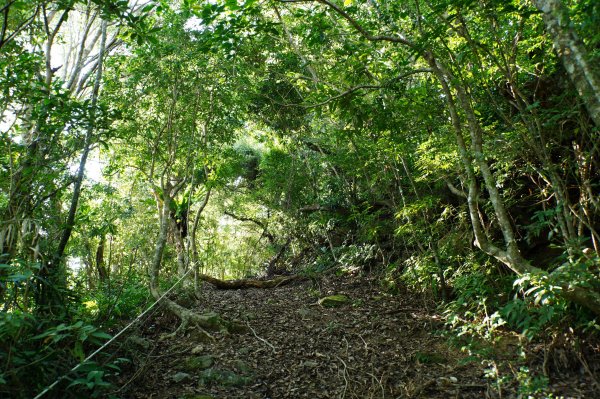宜蘭 南澳 御恩山2892659
