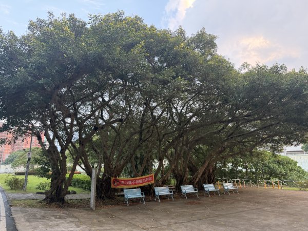 [2026臺北健走趣-09/50] 2026_0806_景美河濱公園3110842