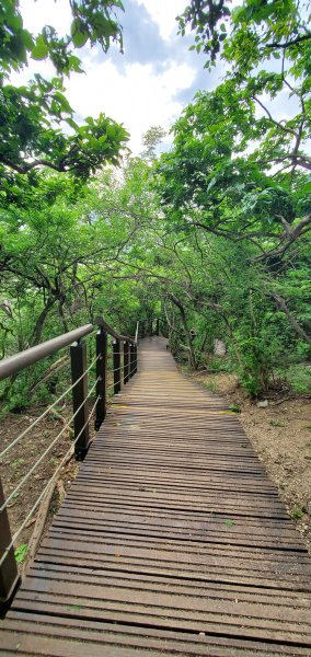 2024-05-18北柴山登山步道2507863