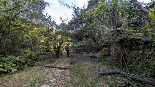 114.06.28內平林山-番子坑山-平湖森林遊樂區之O型2824280