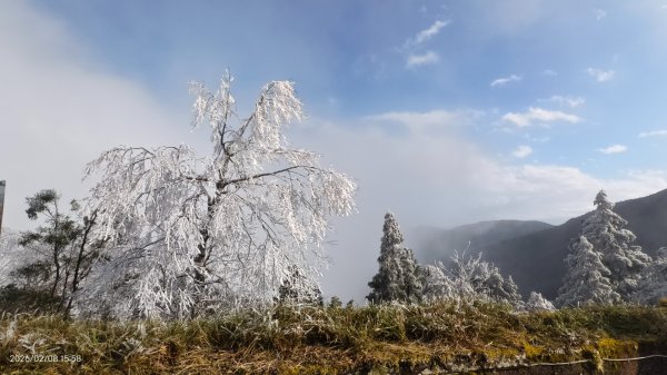 #霧淞 #雲海 #雲瀑 #霧虹 #太平山 #望洋山 #觀雲步道 #翠峰道路  2/82995273