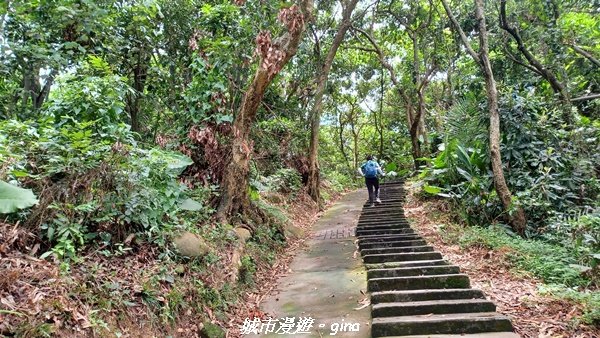 【南投草屯】蝴蝶紛飛可惜抵擋不了低海拔蚊子攻擊。 虎山步道x中興新村2856638