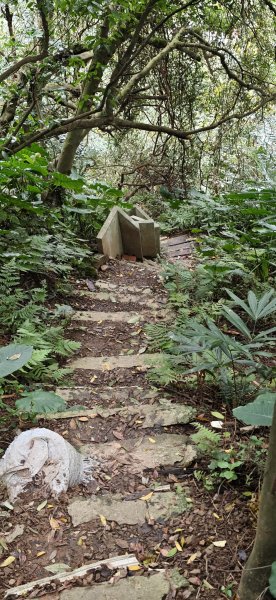 2026-0307 造鎮-文筆山-天華山-南勢角山-蘭花亭-牛伯伯3015865