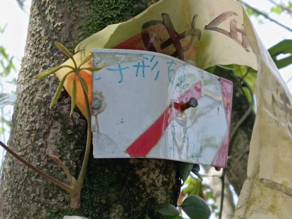 蛇子形古道+柴寮古道2754231