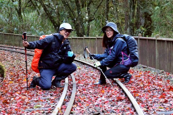 神阿縱走~台灣難抵極~大塔山2971932