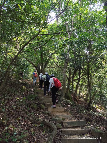 臺北內湖金面山、剪刀石3063647