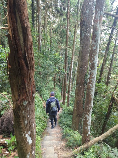 2025.01.18－仙山步道2706115