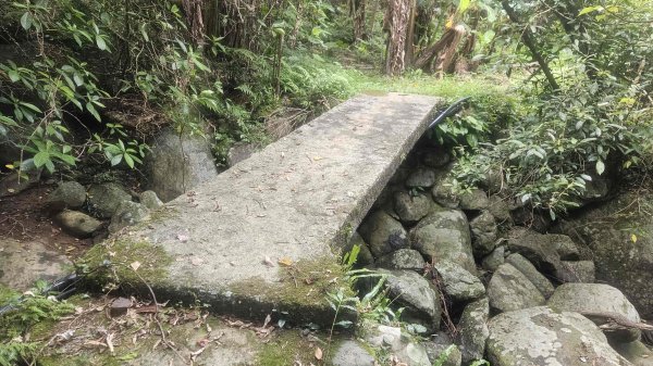 20250719遠景古道-雞母嶺古道(雞母嶺街-三叉港-土地公嶺山-雙澳崙)2841153