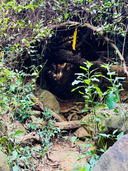 大社觀音山(小百岳#)2968354