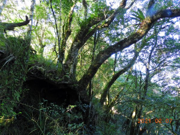 臺東 東河 都蘭山1262051