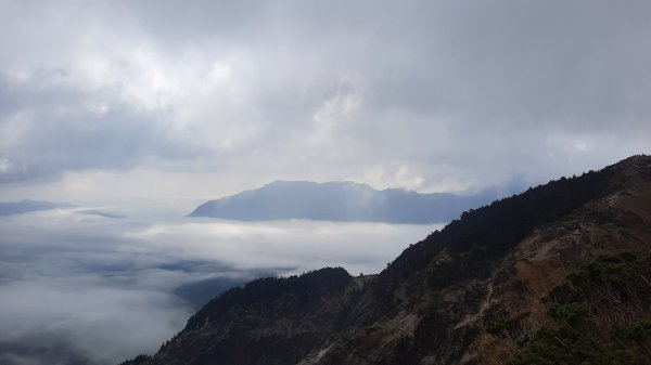 《南投》高山杜鵑盛宴｜哈哈山、石門山北峰202104181353284