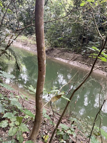 20251024蘭潭後山步道、紅毛埤山、山子頂山2924064