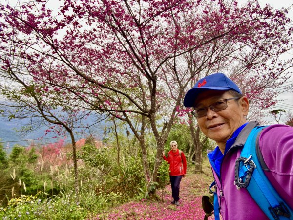 坐公車接駁的神仙縱走2707441