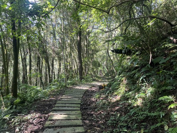 [皮皮獅Hike客任務-06/10] 2024_0831 騎龍古道封面