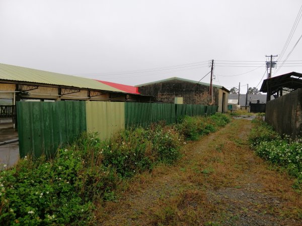 輕鬆好走但我們遇上微雨強風~小百岳鐵砧山918659