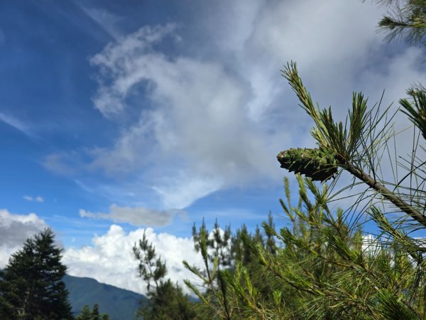 志佳陽大山（回程走高繞環山獵人登山步道）2542179