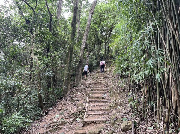 [微笑山線_第一段] 2025_0720 大棟山系_鎮遠山2843561