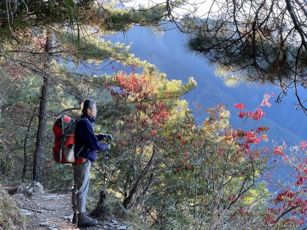 【南投縣信義鄉】玉山西峰、東峰(上)2023569