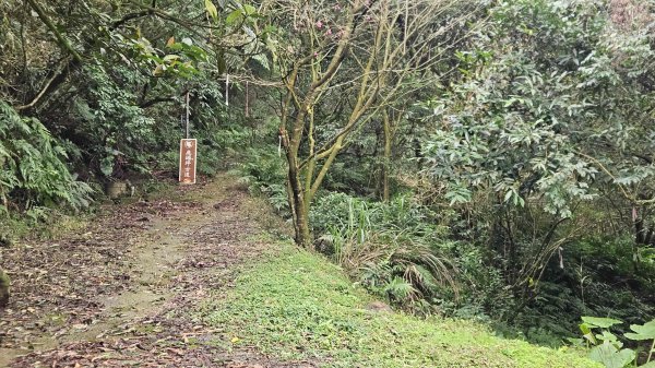 20260211庚子坪溫泉-赤石六山封面