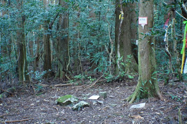 新竹 五峰 西高橋山、霞喀羅大山2959316