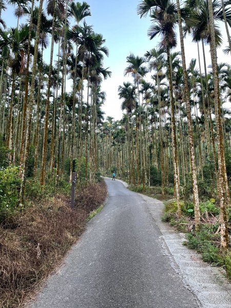 關仔嶺大凍山 小百岳1855321