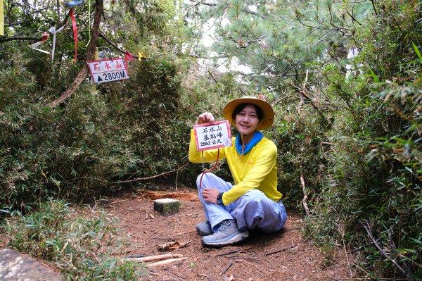 塔塔加五連峰2948764