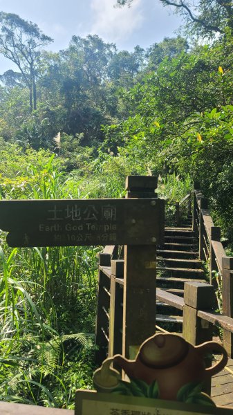 2025-0310臺北大縱走第七段2737269