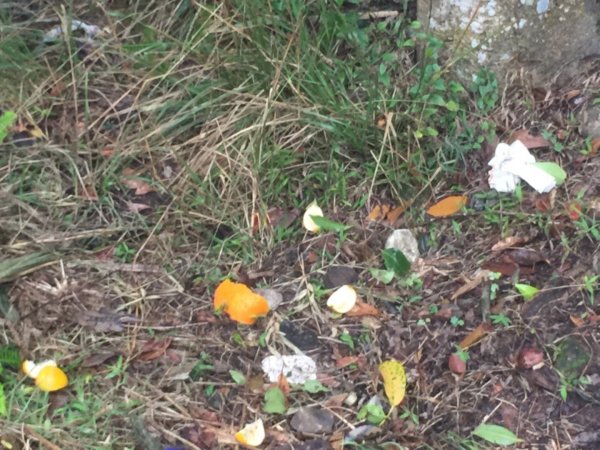 告別2018最終回觀音山小北插上硬漢嶺封面