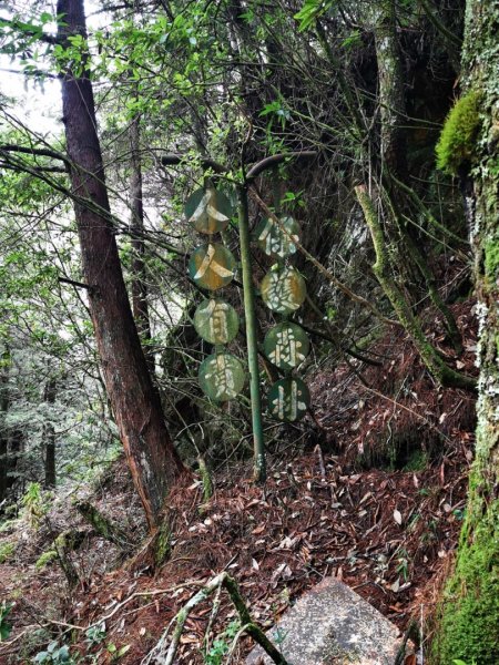 雙龍林道上巒安堂西巒大山1778667