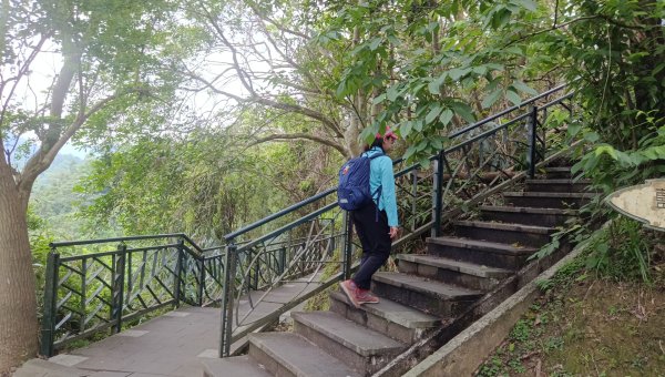 (姨婆趴趴走)第五十二集:新北新店攀登和美山及灣潭山2761089