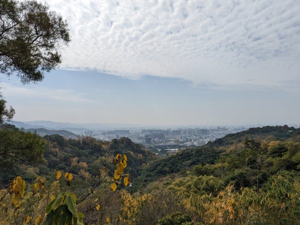 2023-02-04 大坑9、10號步道封面