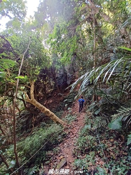 【苗栗大湖】很有趣的金童玉女。 玉女山、金童山、汶水山~三山連走1942488