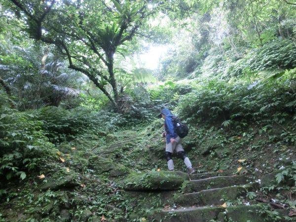 承天禪寺．天上山．桐花公園123452