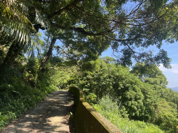 [皮皮獅Hike客任務-07/10] 2024_0831 大山背麒麟步道2586106