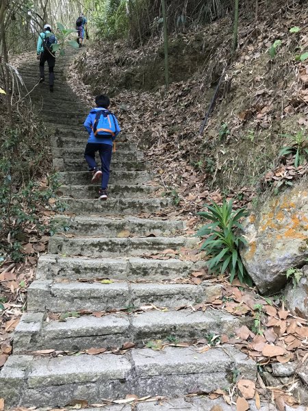 110年4月25日雲林  雲嶺之丘 五元二角 木馬古道1456491