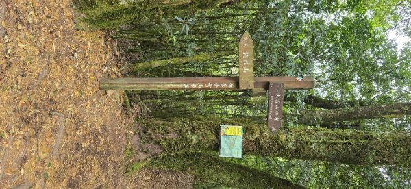 稍來山楓葉2973929