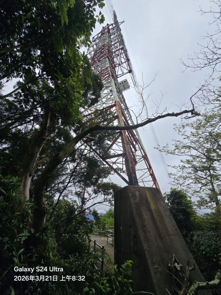 2026-03-21微笑山線：【鳶山山系】鳶山彩壁段3020440