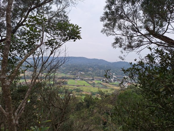 飛龍步道(崇聖亭起登)202401222696344