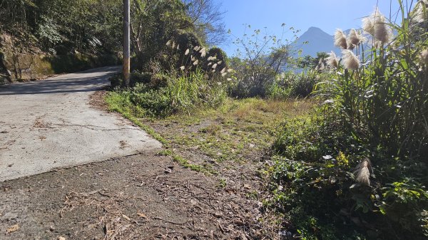 橫龍山 橫龍山北峰 騰龍山 龍年爬龍山2423192