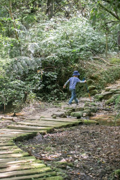 瀑布、溪流、壺穴、鐵道、貓村、採礦史｜三貂嶺越嶺猴硐1769467