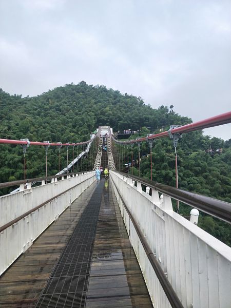 太平雲梯吊橋步道397176