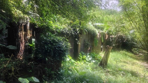 20250703象寮古道-梗枋古道2828906