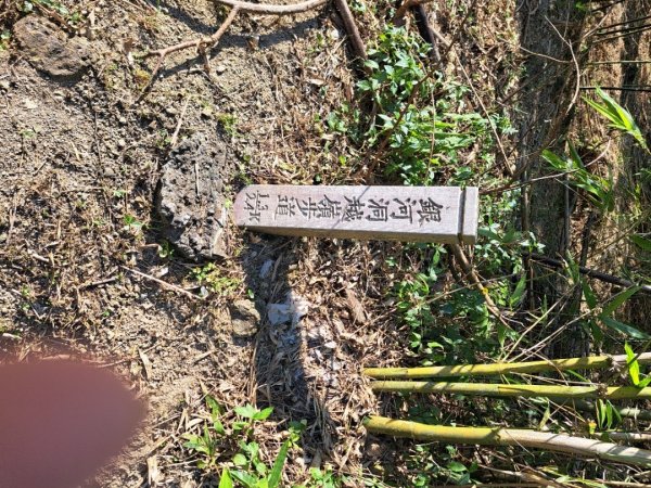 2026微笑山線銀河洞越嶺段3103357